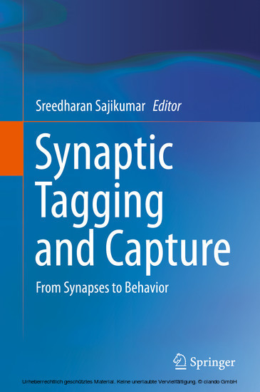 Synaptic Tagging and Capture main product photo