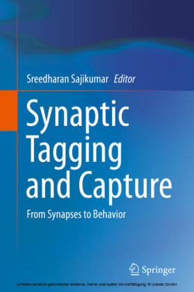 Synaptic Tagging and Capture