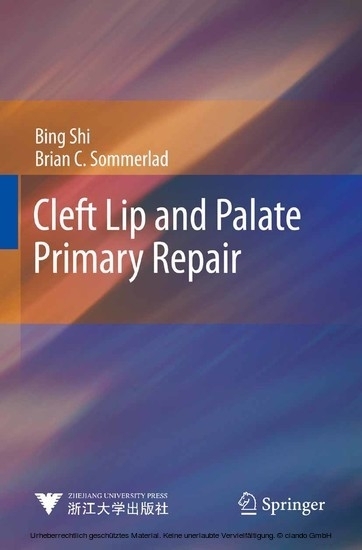 Cleft Lip and Palate Primary Repair main product photo