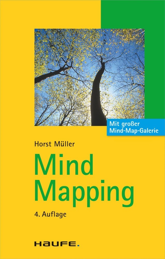 Mind Mapping main product photo