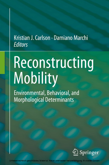 Reconstructing Mobility main product photo