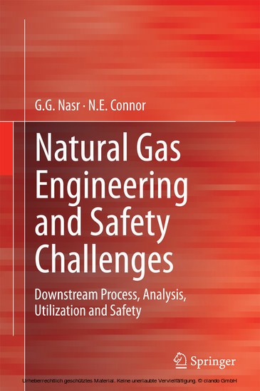 Natural Gas Engineering and Safety Challenges main product photo