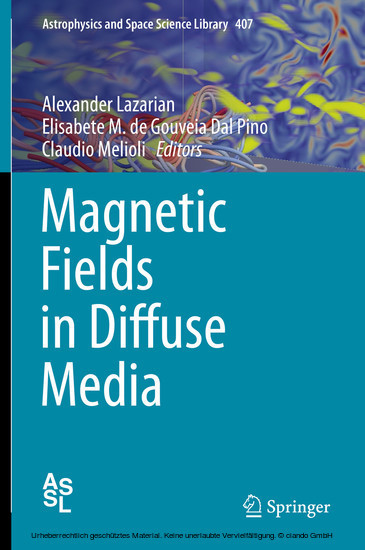 Magnetic Fields in Diffuse Media main product photo