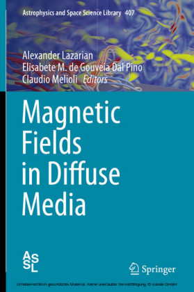 Magnetic Fields in Diffuse Media