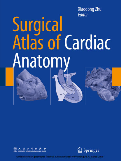 Surgical Atlas of Cardiac Anatomy main product photo