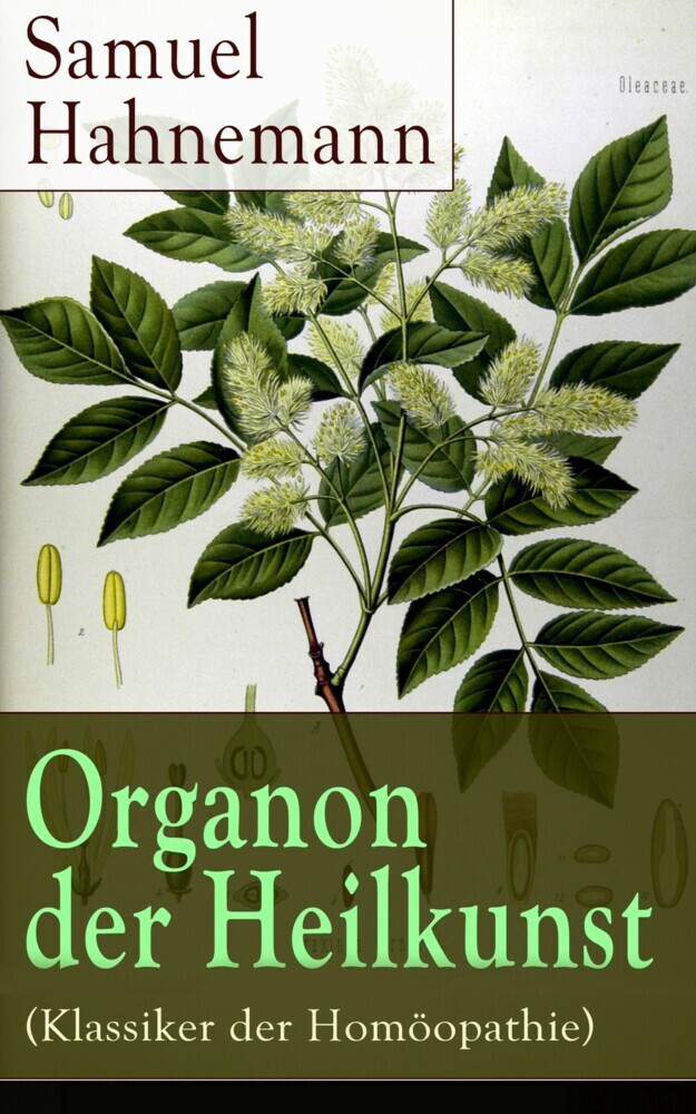 Organon der Heilkunst (Klassiker der Homöopathie) main product photo