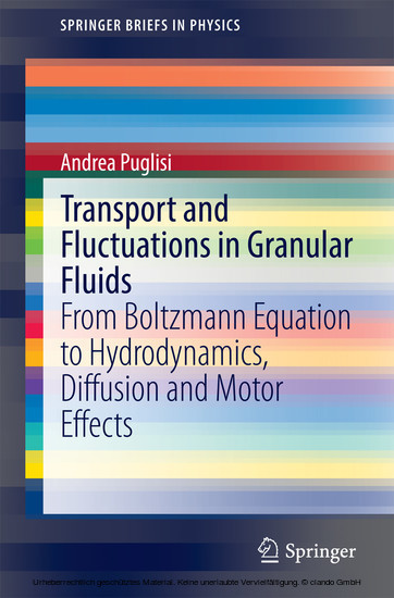 Transport and Fluctuations in Granular Fluids main product photo