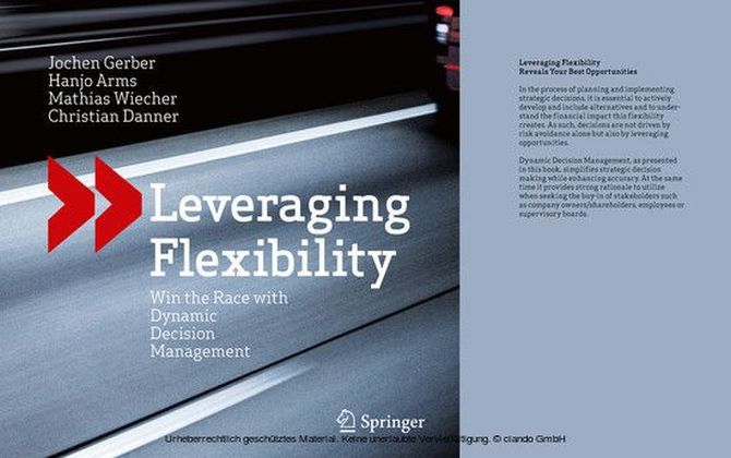 Leveraging Flexibility main product photo