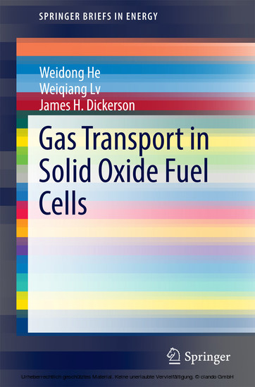 Gas Transport in Solid Oxide Fuel Cells main product photo