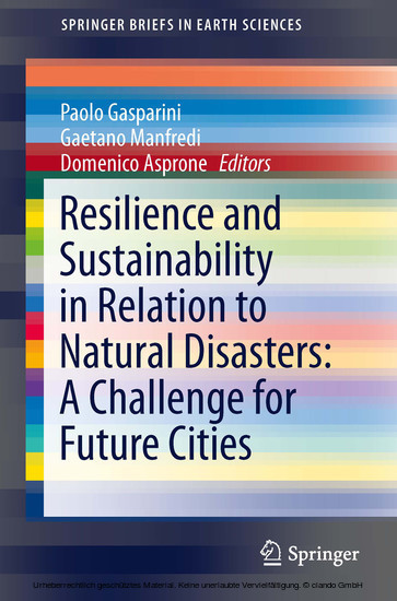 Resilience and Sustainability in Relation to Natural Disasters: A Challenge for Future Cities main product photo