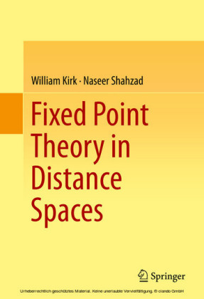 Fixed Point Theory in Distance Spaces