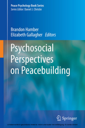 Psychosocial Perspectives on Peacebuilding