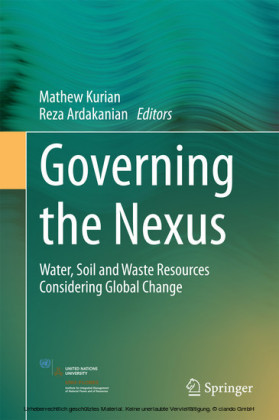 Governing the Nexus