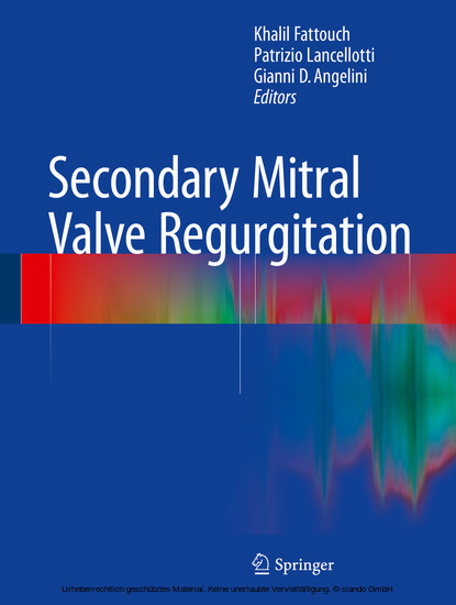 Secondary Mitral Valve Regurgitation main product photo