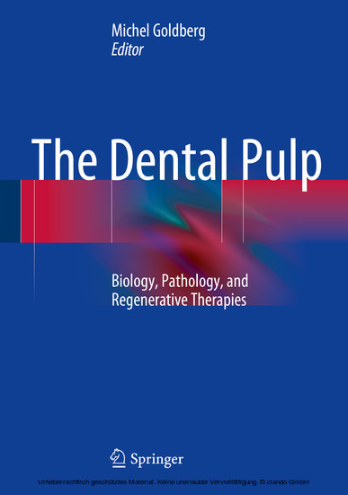 The Dental Pulp main product photo