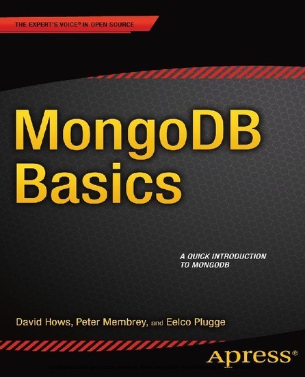 MongoDB Basics main product photo