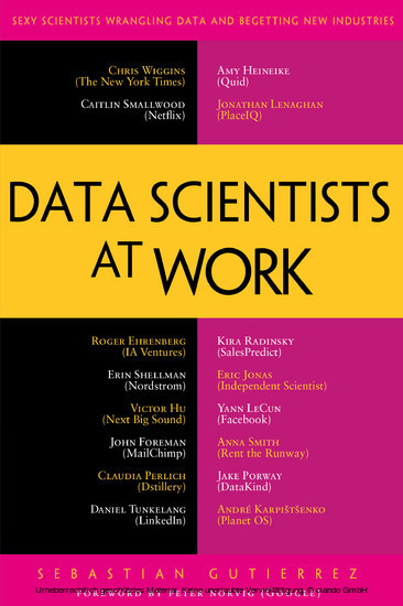 Data Scientists at Work main product photo