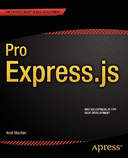 Pro Express.js main product photo