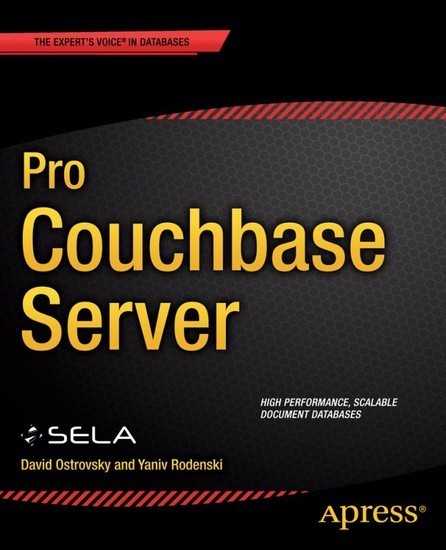 Pro Couchbase Server main product photo