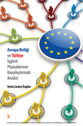 Avrupa ve Türkiye sgücü Piyasalarinin Karsilastirmali Analizi