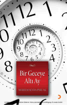 Bir Geceye Alt Ay