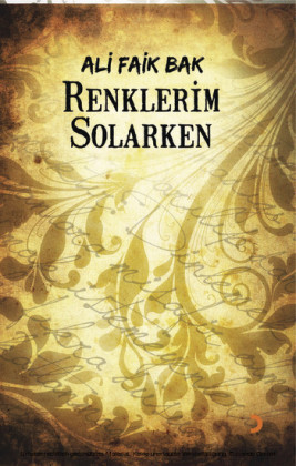 Renklerim Solarken