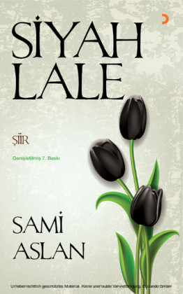 Siyah Lale