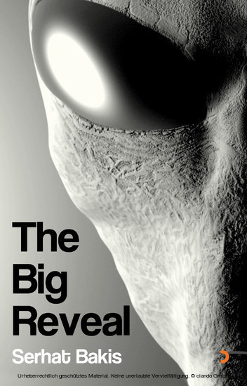 The Big Reveal main product photo