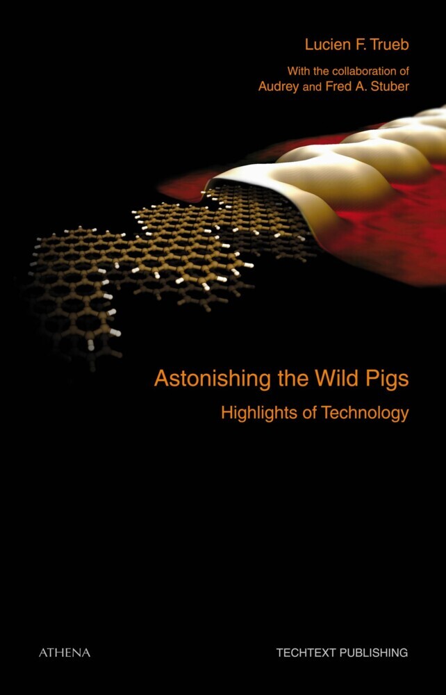 Astonishing the Wild Pigs main product photo
