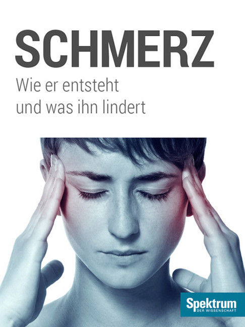 Schmerz main product photo