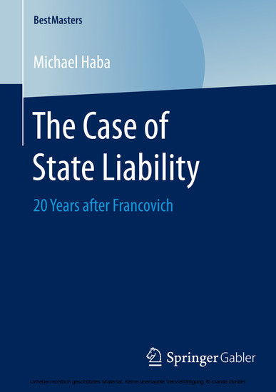 The Case of State Liability main product photo