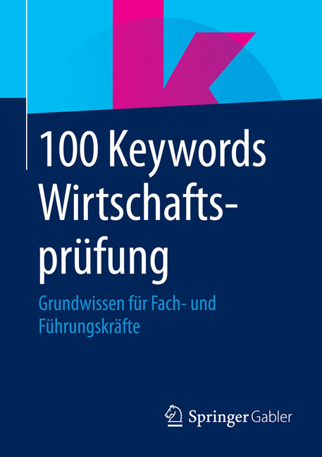 100 Keywords Wirtschaftsprüfung main product photo