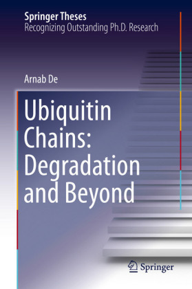 Ubiquitin Chains: Degradation and Beyond