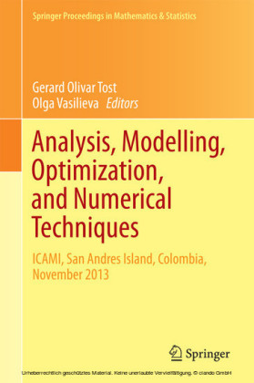 Analysis, Modelling, Optimization, and Numerical Techniques