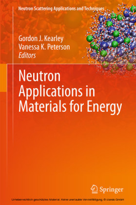 Neutron Applications in Materials for Energy