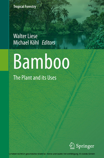 Bamboo main product photo