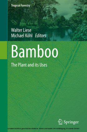 Bamboo