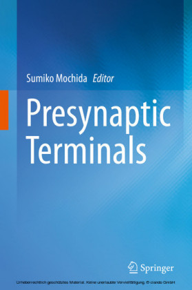 Presynaptic Terminals