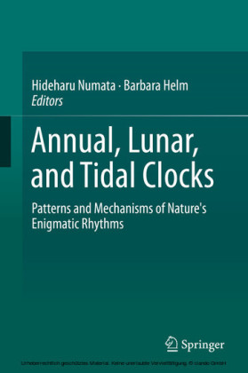Annual, Lunar, and Tidal Clocks