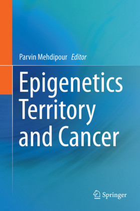 Epigenetics Territory and Cancer