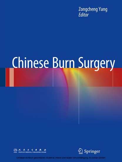 Chinese Burn Surgery main product photo