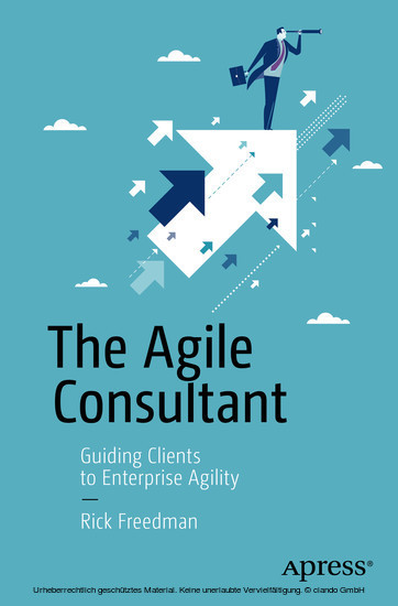 The Agile Consultant main product photo