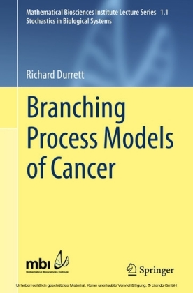 Branching Process Models of Cancer