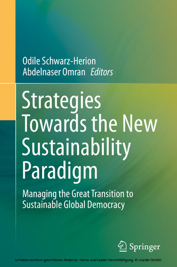 Strategies Towards the New Sustainability Paradigm main product photo