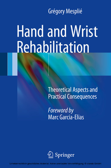 Hand and Wrist Rehabilitation main product photo