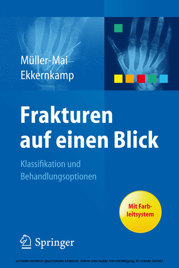 Frakturen auf einen Blick main product photo