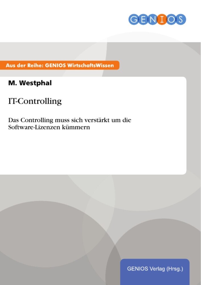 IT-Controlling main product photo