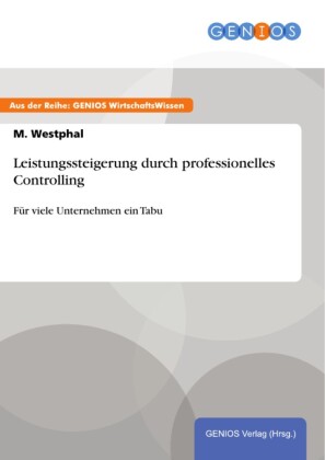 Leistungssteigerung durch professionelles Controlling