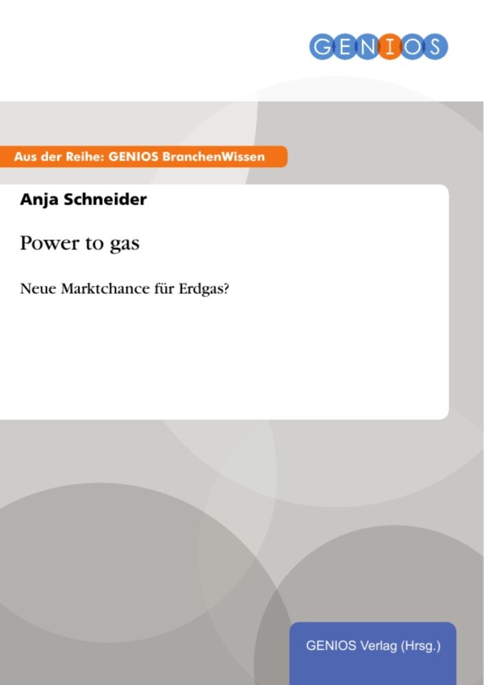 Power to gas main product photo