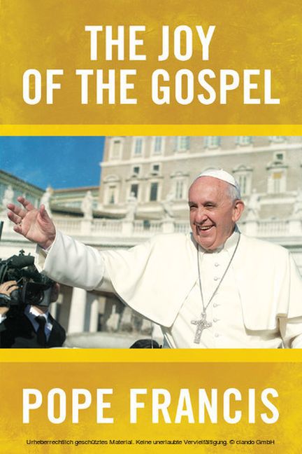 The Joy of the Gospel main product photo